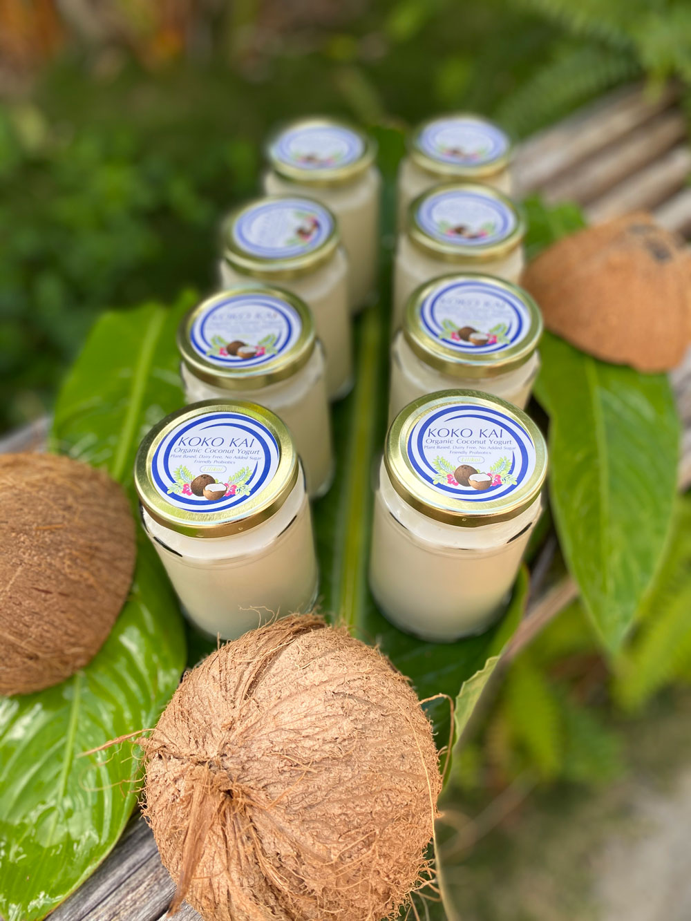 Passion Fruit (Lilikoi) Coconut Yogurt Koko Kai Coconut Yogurt