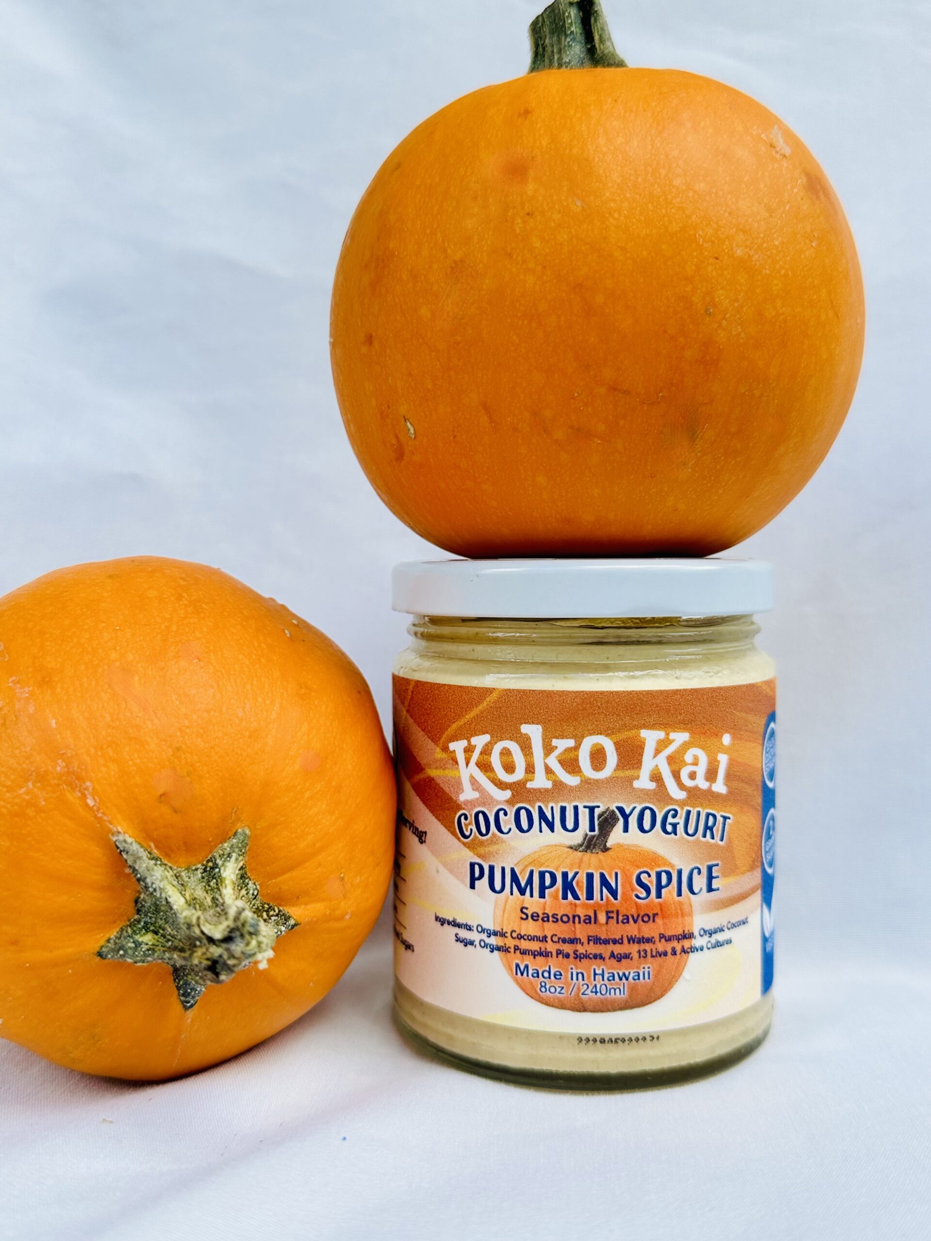 Limited Edition-Pumpkin Spice Coconut yogurt and where to find?